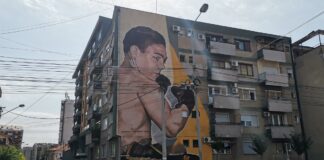 Ko je bio Dragiša Stanković Čelik Dragiša Stanković Čelik