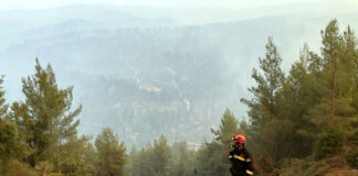 Vatrogasci iz Niša krenuli u Grčku da gase požar