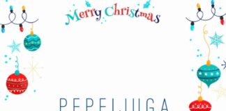 Novogodišnja plesna predstava za decu – PEPELJUGA! predstava za decu