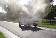 Od 18. do 20. juna prskanje protiv komaraca u svim niškim opštinama Foto: Beoinfo