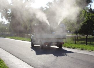 Prskanje protiv komaraca u Čairu 18. avgusta od 19 sati. Izbegavati kretanje kroz park Foto: Beoinfo