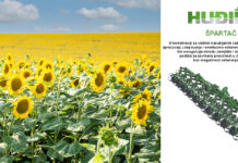 Herbicid za suncokret