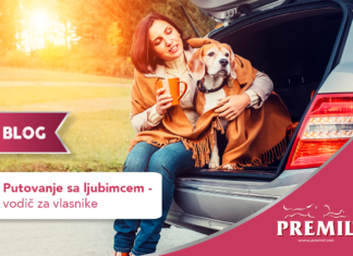 Putovanje sa ljubimcem – vodič za vlasnike