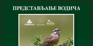 Promocija publikacije „Ptice Sićevačke klisure“ u Gradskoj kući u Nišu