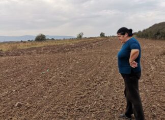 Pronađen skelet čoveka na njivi u Pasi Poljani skelet