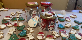 „Daruj za život” – novogodišnja humanitarna akcija srednjoškolaca i studenata