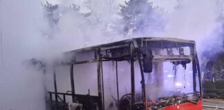 Nenade Stankoviću, koliko autobusa treba da se zapali pa da se Direkcija umeša u svoj posao?!