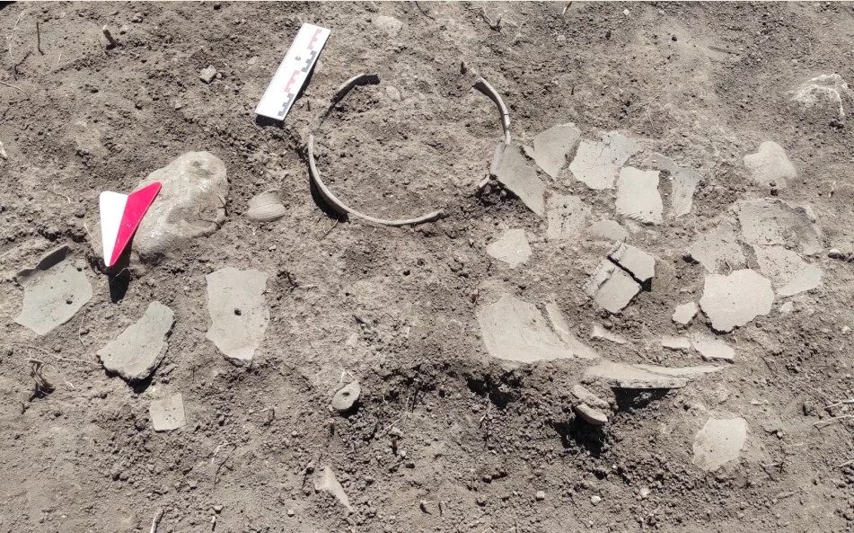 Nalazi iz starijeg gvozdenog doba (foto: Arheološki institut u Beogradu)