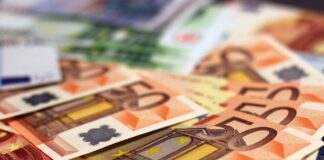 10.000 evra od države, a evo i koje uslove treba da ispunite Foto: ilustracija pixabay