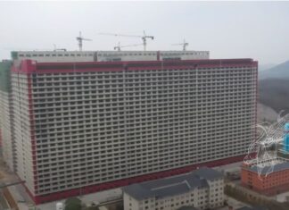 Najveća farma svinja smeštena u neboder