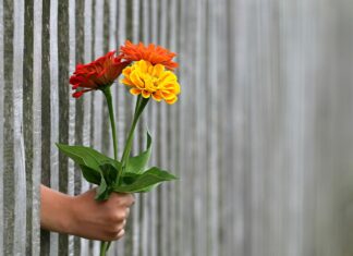Pitali smo Nišlije: Koja je žena imala najveći uticaj na njih i da li smatraju da žene imaju ista prava kao muškarci u Srbiji?