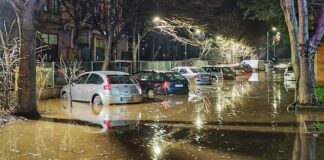 Stanković: Hitno utvrditi odgovornost za poplavu u Nišu i nadoknaditi građanima štetu