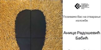 Izložba “Klica novog roda – reverzibilnost procesa” Anice Radošević Babić