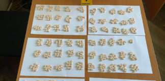 Niška policija pronašla 993 tablete MDMA droge mdma