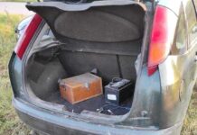 Otkriven nezakonit lov prepelica preko elektronske vabilice u Sečanici kod Niša