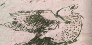 Algama iz Nišave oslikali pticu na Keju