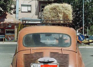 U Fići suvozačica koza, na krovu kozin doručak…