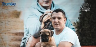 Humanost na delu! Odgajivačnica iz Niša poklanja štene bulmastifa onome ko uplati 30.000 dinara za lečenje malog Martina