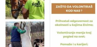 ZOO Kutak poziva Nišlije da se pridruže timu volontera. Najstariji volonter Kutka ima 87 godina