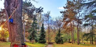 Jesen u našem sokaku… Sunce se ne predaje