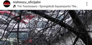 Kada ćemo naučiti da parkiramo i zašto nikad? Novi stilovi uparkiravanja u Nišu