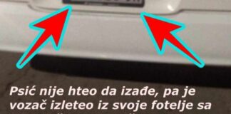 Vozač elektrošokerom isterao psa iz autobusa? Nišlija tvrdi da je prisustvovao šutiranju i maltretiranju psa u gradskom prevozu