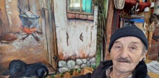 Pekar sa devet života: Pregazio ga kamion, pao u otvor lifta, reku i kanal, život mu spasio pas