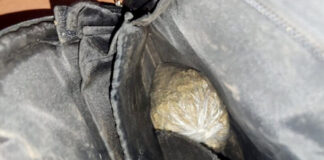 U automobilu i stanu krio pakete marihuane spremne za dalju prodaju