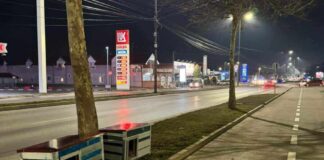 Još pet kućica za napuštene pse u Nišu. Privremeno, dok se ne nađe trajno rešenje.