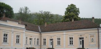 Učenik prvog razreda osnovne škole u selu u okolini Niša udario učiteljicu