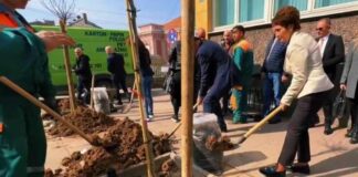 Ulicu Generala Milojka Lešjanina u Nišu – od danas krase 62 sadnice drveća