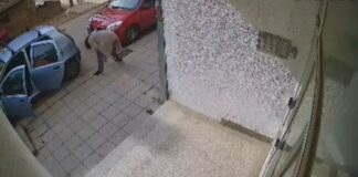 Žena u ulici Hajduk Stanka u Nišu izvadila betonske kocke iz trotoara i odvezla ih automobilom