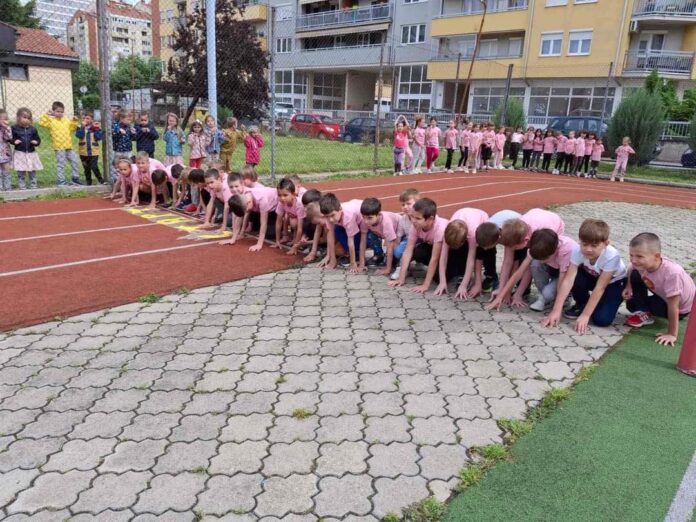 kros kros srbiju jpu pčelica