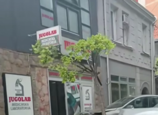 Vozač „bmw-a“ izgubio kontrolu pa udario u parkirano vozilo u Dušanovoj ulici u Nišu