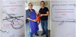 Fakultet umetnosti u Nišu dobio na poklon violinu ručne izrade violinara Mirka Vukeljića iz Doboja