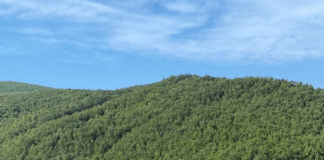 Nestao muškarac u Krajkovačkom jezeru