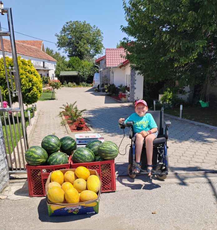 Laza pokrenuo sopstveni biznis: Prodaja najslađeg bostana u selu Čokot kod Niša