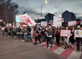 Studenti i građani u nedelju čiste Niš – „Budi i ti eko heroj“ kružni tok blodada studenti 2