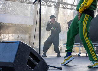 Stereo MC’s na Nišvilu
