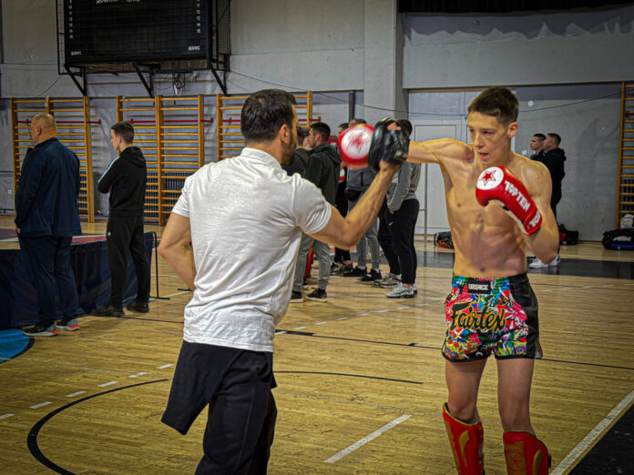 bogdan (1)