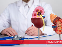 Transplantacija bubrega u Turskoj: Kako izgleda lečenje u bolnici Medical Park? Transplantacija bubrega