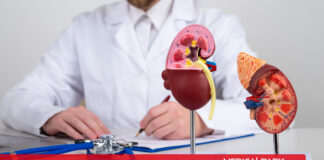 Transplantacija bubrega u Turskoj: Kako izgleda lečenje u bolnici Medical Park? Transplantacija bubrega