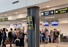 Na aerodromu u Nišu uhapšena državljanka Malte, u prtljagu pronađene 33 cigarete sa marihuanom