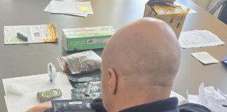 Marihuana poštom ih Holandije stigla u Niš