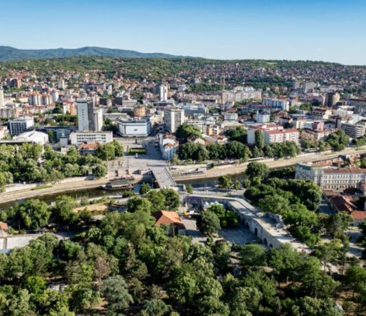 Palo drvo u centru Niša grane završile na dostavnom kombiju, blokiran saobraćaj centar niša dron