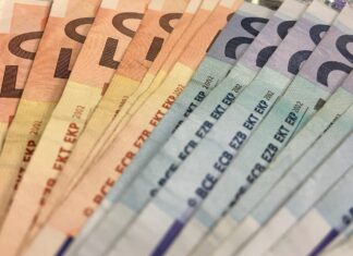 Državljanin Bugarske uhapšen u Nišu zbog prevare: Starijoj ženi tražio 150.000 evra za navodno lečenje sina evro