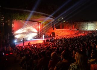 Stanković: Nadam se da će Filmski susreti u Nišu biti održani sledeće godine u boljoj atmosferi i sa novom vlašću filmski susreti