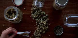 Kada rekreacija postane navika: prvi koraci ka zavisnosti od marihuane