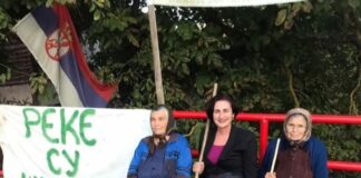 Milenković Kerković: Pored Studene ugrožen i Moravski vodovod – na Toponičkoj reci ucrtane četiri MHE