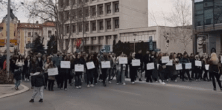 Protest u Nišu: Ukoliko zaboravimo 16 žrtava u Novom Sadu, brojaćemo nove protest Screenshot FB , JV